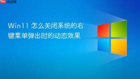 win11 怎么关闭系统的右键菜单弹出时的动态效果