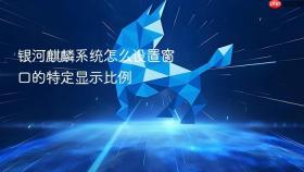 银河麒麟系统怎么设置窗口的特定显示比例