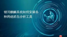 银河麒麟系统如何安装各种网络抓包分析工具