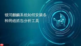 银河麒麟系统如何安装各种网络抓包分析工具