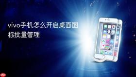 vivo手机怎么开启桌面图标批量管理