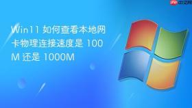 win11 如何查看本地网卡物理连接速度是 100m 还是 1000m