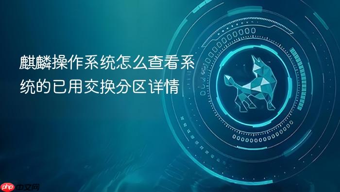 麒麟操作系统怎么查看系统的已用交换分区详情