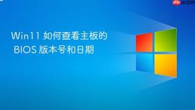 win11 如何查看主板的 bios 版本号和日期