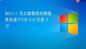 win11 怎么查看固态硬盘是全速 pcie 4.0 还是 3.0