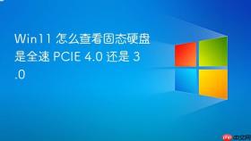 Win11 怎么查看固态硬盘是全速 PCIE 4.0 还是 3.0