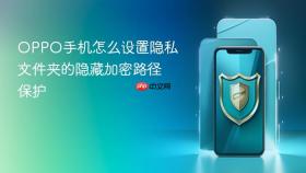 oppo手机怎么设置隐私文件夹的隐藏加密路径保护