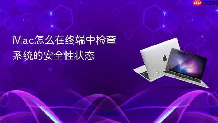mac怎么在终端中检查系统的安全性状态