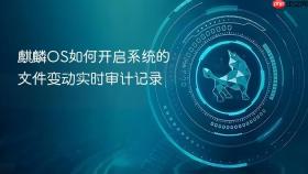 麒麟os如何开启系统的文件变动实时审计记录