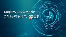 麒麟操作系统怎么查看cpu是否支持avx指令集