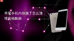 苹果手机内存满了怎么清理其他数据