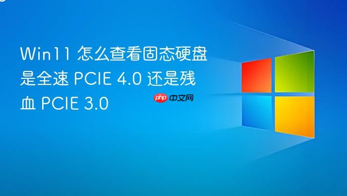 win11 怎么查看固态硬盘是全速 pcie 4.0 还是残血 pcie 3.0