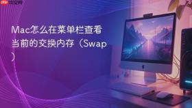 mac怎么在菜单栏查看当前的交换内存（swap）