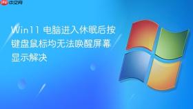 win11 电脑进入休眠后按键盘鼠标均无法唤醒屏幕显示解决