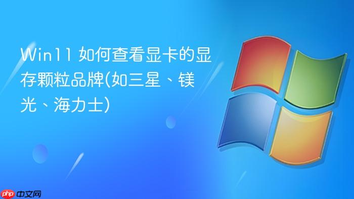 win11 如何查看显卡的显存颗粒品牌(如三星、镁光、海力士)