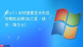 win11 如何查看显卡的显存颗粒品牌(如三星、镁光、海力士)