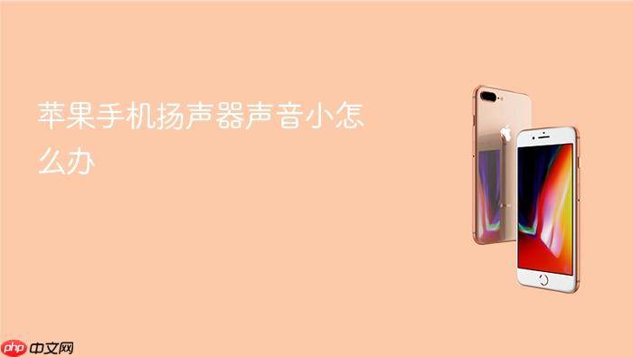苹果手机扬声器声音小怎么办