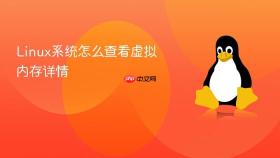 linux系统怎么查看虚拟内存详情