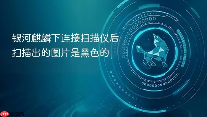 银河麒麟下连接扫描仪后扫描出的图片是黑色的