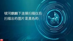 银河麒麟下连接扫描仪后扫描出的图片是黑色的