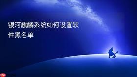 银河麒麟系统如何设置软件黑名单