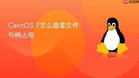 CentOS 7怎么查看文件句柄占用