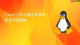 centos怎么修改具体的系统句柄限制
