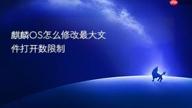 麒麟OS怎么修改最大文件打开数限制