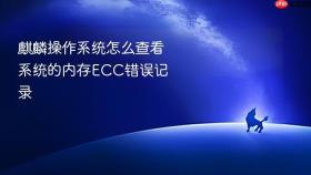 麒麟操作系统怎么查看系统的内存ECC错误记录