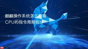 麒麟操作系统怎么查看cpu的指令周期统计
