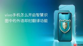 vivo手机怎么开启智慧识图中的外语即时翻译功能