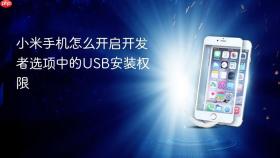 小米手机怎么开启开发者选项中的USB安装权限