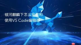 银河麒麟下怎么安装和使用vs code编辑器