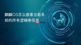 麒麟os怎么查看当前系统的所有逻辑卷信息