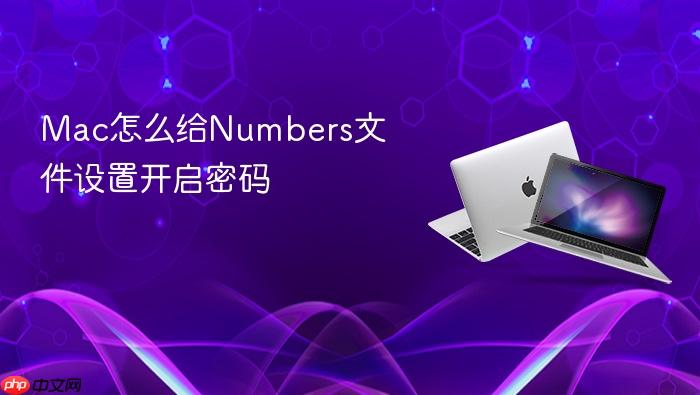 mac怎么给numbers文件设置开启密码