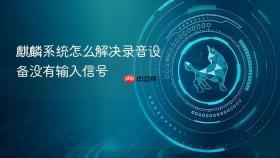 麒麟系统怎么解决录音设备没有输入信号