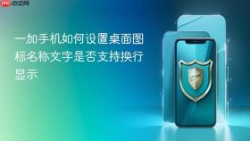 一加手机如何设置桌面图标名称文字是否支持换行显示