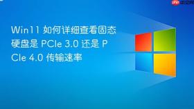Win11 如何详细查看固态硬盘是 PCIe 3.0 还是 PCIe 4.0 传输速率