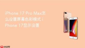 iphone 17 pro max怎么设置屏幕色彩模式 iphone 17显示设置