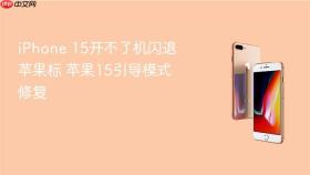 iphone 15开不了机闪退苹果标 苹果15引导模式修复