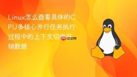 Linux怎么查看具体的CPU多核心并行任务执行过程中的上下文切换开销数据