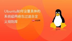 ubuntu如何设置具体的系统级网络包过滤自定义规则库