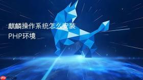 麒麟操作系统怎么安装php环境