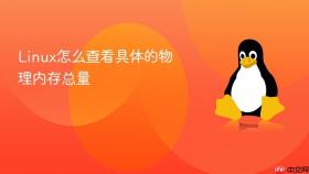 linux怎么查看具体的物理内存总量