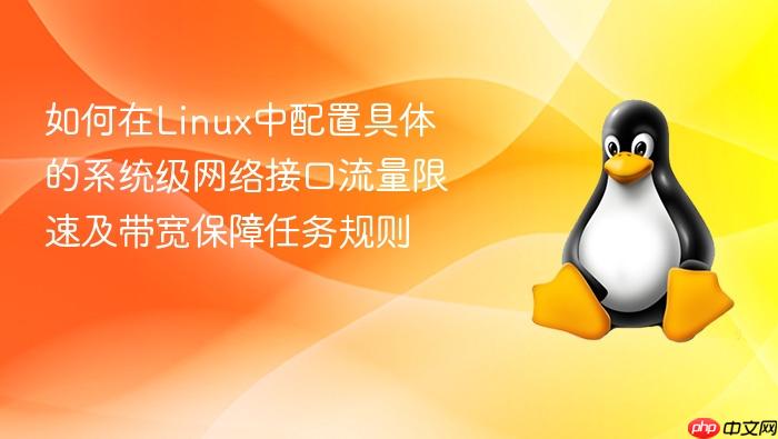 如何在linux中配置具体的系统级网络接口流量限速及带宽保障任务规则