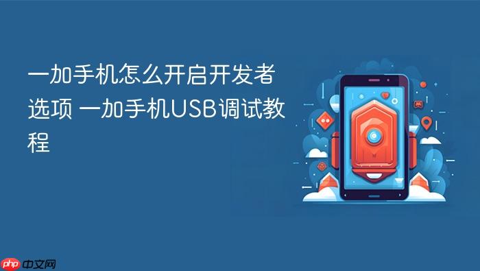 一加手机怎么开启开发者选项 一加手机usb调试教程