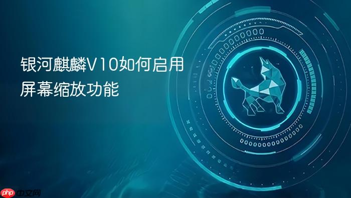 银河麒麟v10如何启用屏幕缩放功能