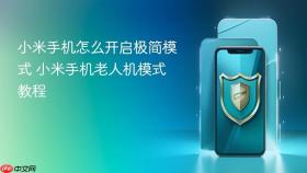 小米手机怎么开启极简模式 小米手机老人机模式教程
