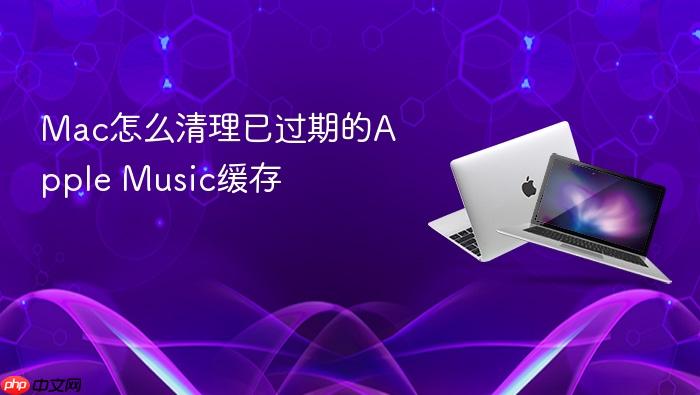 mac怎么清理已过期的apple music缓存