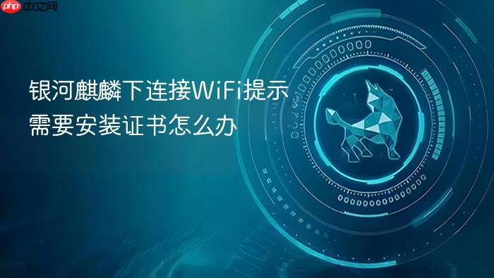 银河麒麟下连接wifi提示需要安装证书怎么办